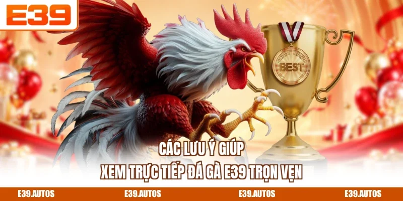 Các lưu ý giúp xem trực tiếp đá gà E39 trọn vẹn