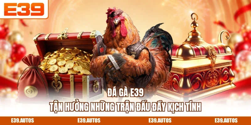 Đá Gà E39 - Tận Hưởng Những Trận Đấu Đầy Kịch Tính