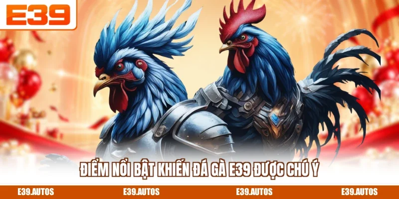 Điểm nổi bật khiến đá gà E39 được chú ý