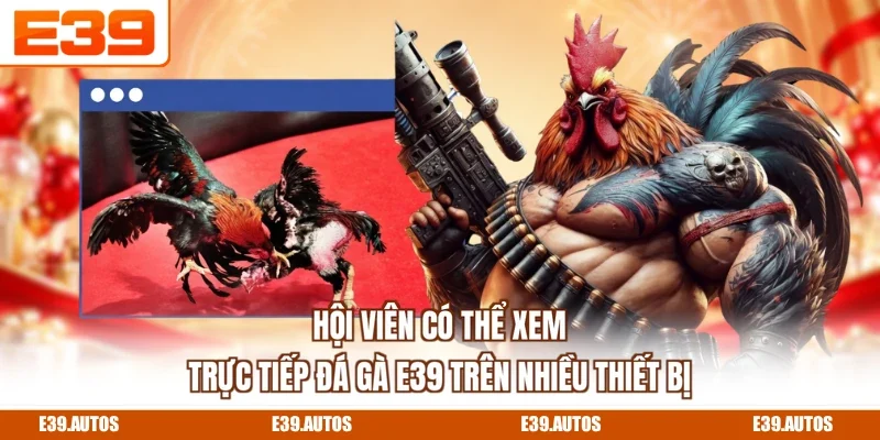 Hội viên có thể xem trực tiếp đá gà E39 trên nhiều thiết bị