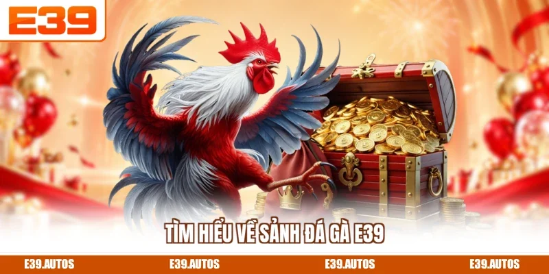 Tìm hiểu về sảnh đá gà E39