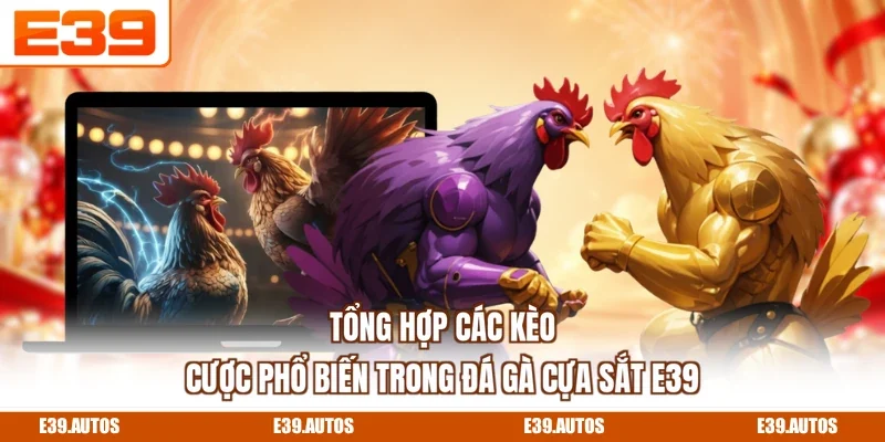 Tổng hợp các kèo cược phổ biến trong đá gà cựa sắt E39