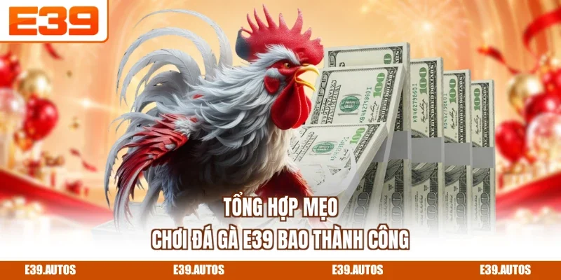 Tổng hợp mẹo chơi đá gà E39 bao thành công