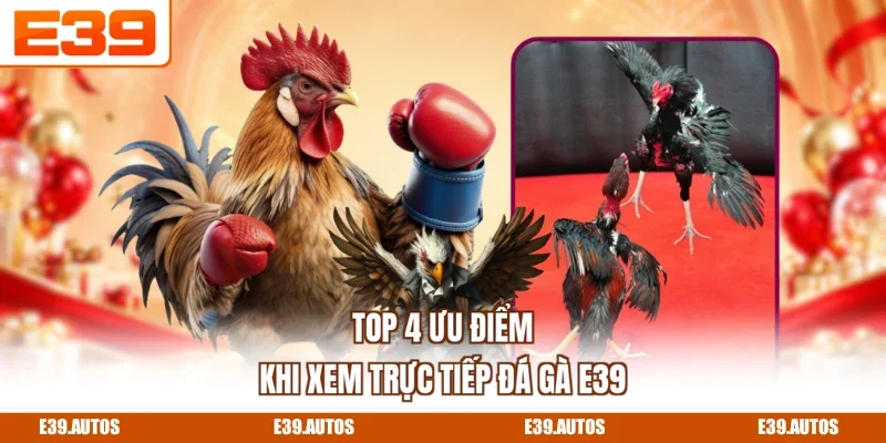 Top 4 ưu điểm khi xem trực tiếp đá gà E39
